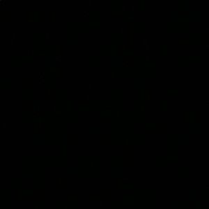 Meet your Posher, Liam